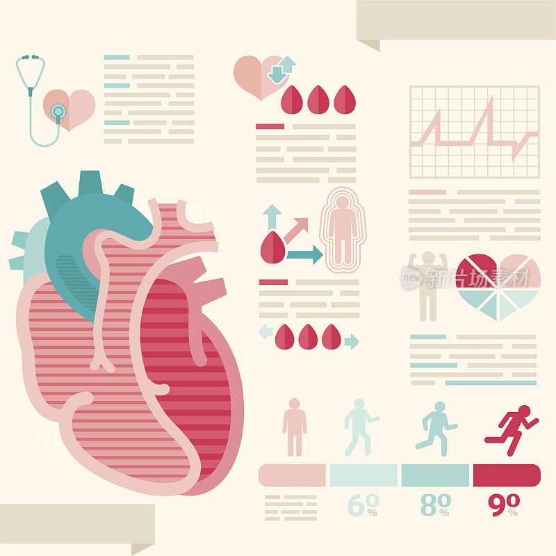 人类心脏/医疗保健信息图